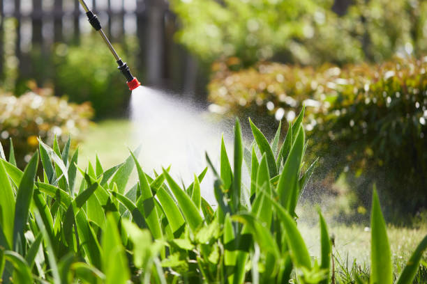 Tamper-Resistant Bait Stations for Rodents in Bellevue